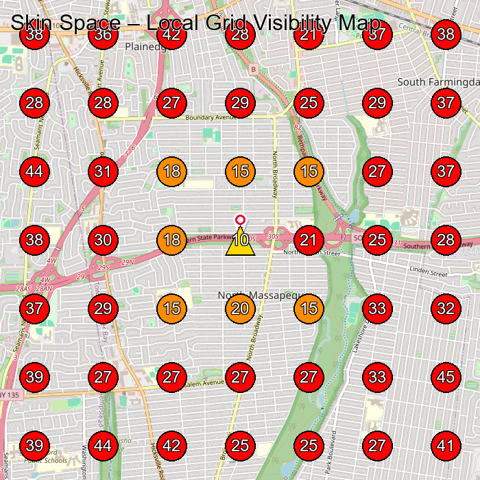 Skin Space GeoGrid visibility map for Wellness Center in Farmingdale